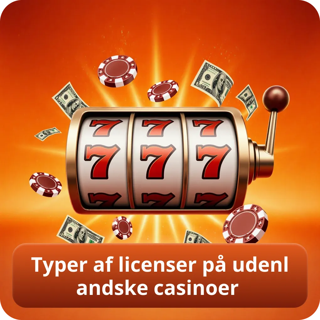Typer af licenser på udenlandske casinoer